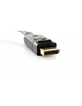 DisplayPort Male to DVI Male Adapter Cable (25.5cm)